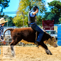 BraidwoodRodeo2015_1566