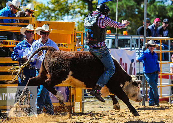 BraidwoodRodeo2015_1716