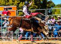 BraidwoodRodeo2015_1691