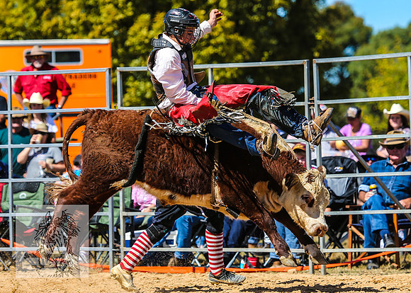 BraidwoodRodeo2015_1691