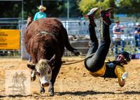 BraidwoodRodeo2015_1699