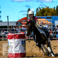 BraidwoodRodeo2015_1365