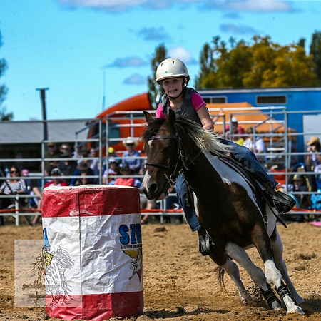 BraidwoodRodeo2015_1365