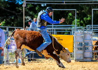 BraidwoodRodeo2015_1701