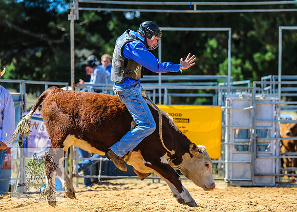 BraidwoodRodeo2015_1701