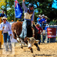 BraidwoodRodeo2015_1599