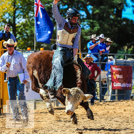 BraidwoodRodeo2015_1599