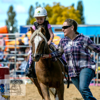 BraidwoodRodeo2015_1380