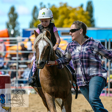 BraidwoodRodeo2015_1380