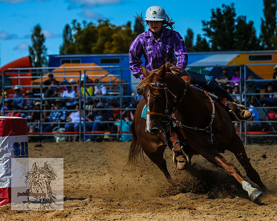 BraidwoodRodeo2015_1340