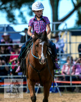 BraidwoodRodeo2015_1328