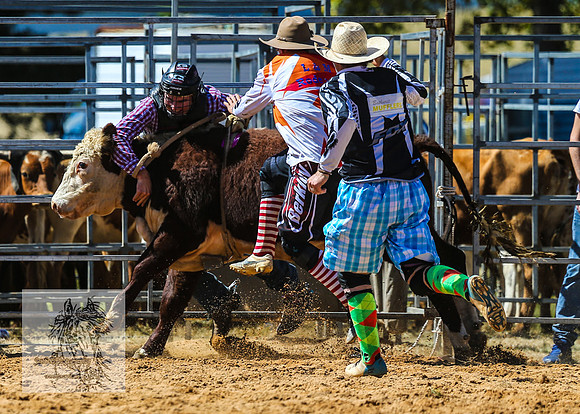 BraidwoodRodeo2015_1729