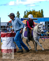BraidwoodRodeo2015_1324