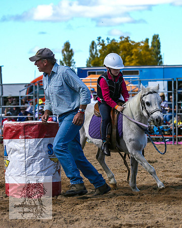 BraidwoodRodeo2015_1324