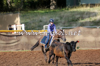 TaralgaCampdraftSat_0307