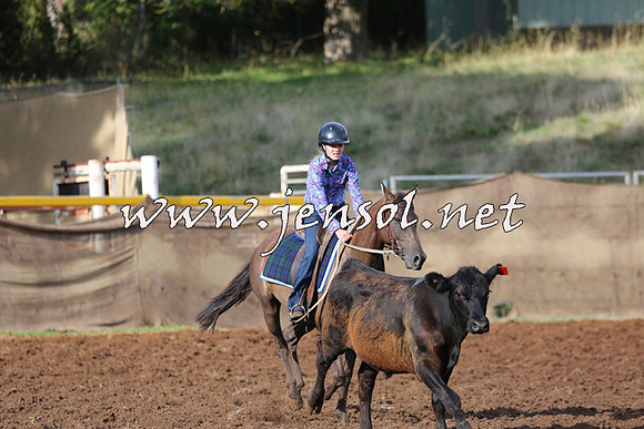 TaralgaCampdraftSat_0307