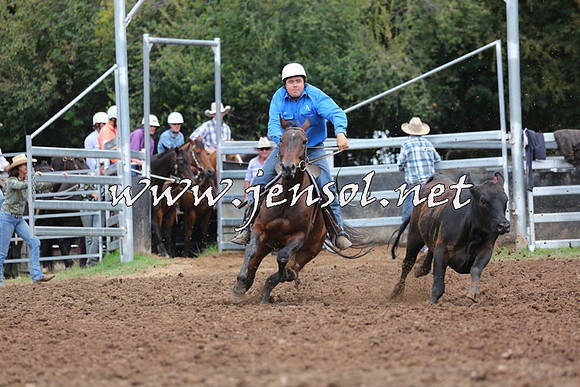 TaralgaCampdraftSat_0108