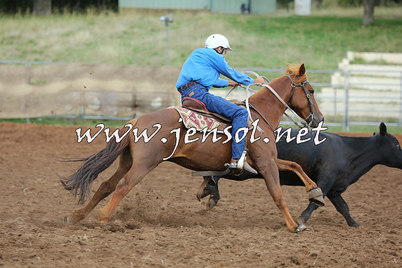 TaralgaCampdraftSat_0476
