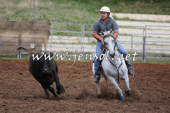 TaralgaCampdraftSat_0419