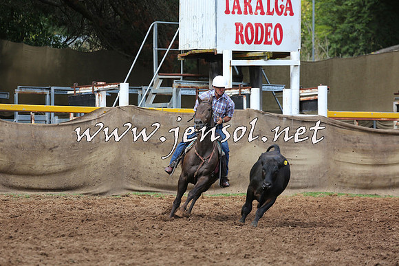 TaralgaCampdraftSat_0399