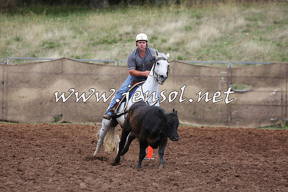 TaralgaCampdraftSat_0415