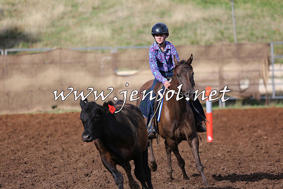 TaralgaCampdraftSat_0309