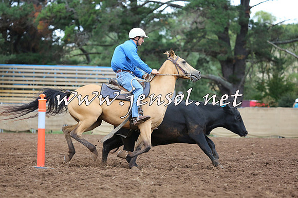 TaralgaCampdraftSat_0558