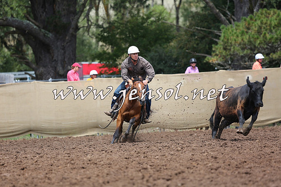 TaralgaCampdraftSat_0082