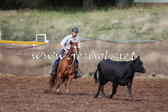 TaralgaCampdraftSat_0383