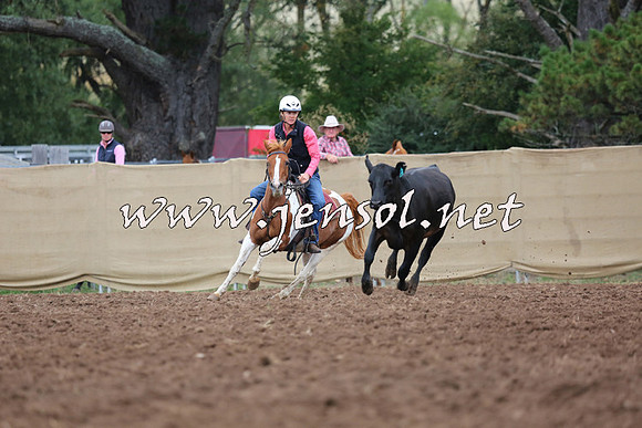 TaralgaCampdraftSat_0542