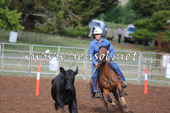 TaralgaCampdraftSat_0283