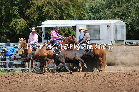 TaralgaCampdraftSat_0143
