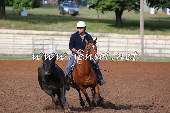 TaralgaCampdraftSat_0294