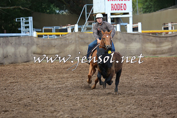 TaralgaCampdraftSat_0372