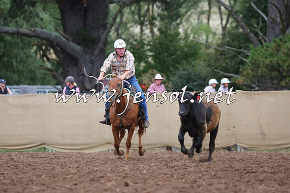 TaralgaCampdraftSat_0540