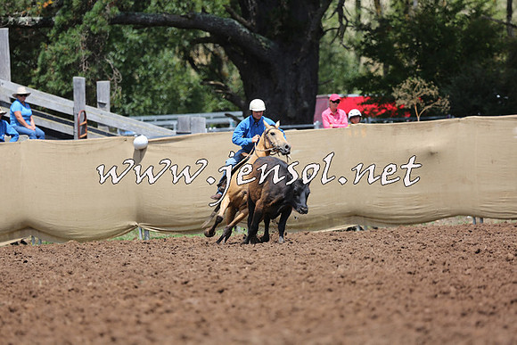 TaralgaCampdraftSat_0107