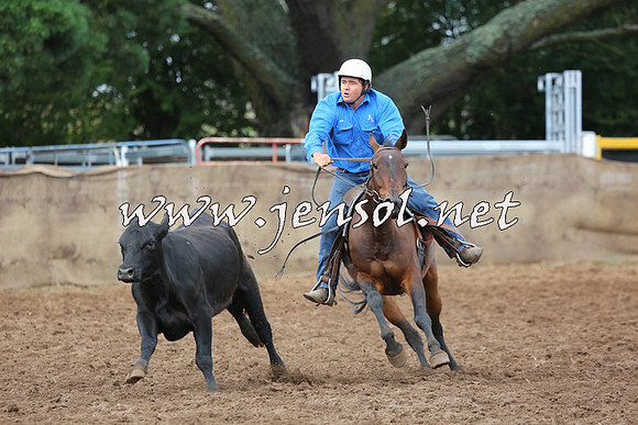 TaralgaCampdraftSat_0442