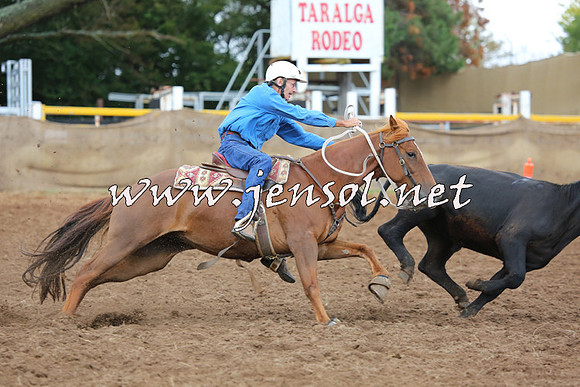 TaralgaCampdraftSat_0471