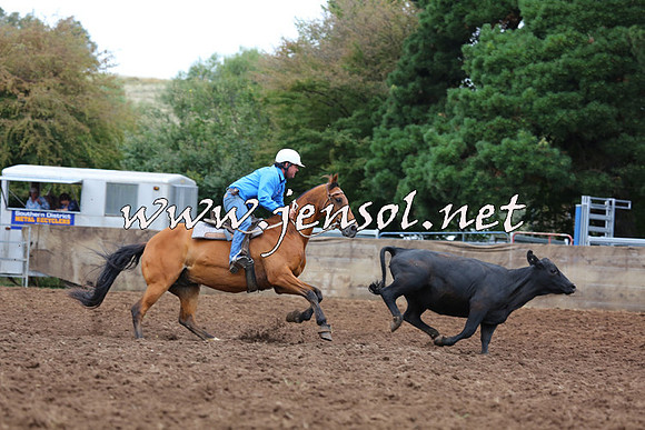 TaralgaCampdraftSat_0530