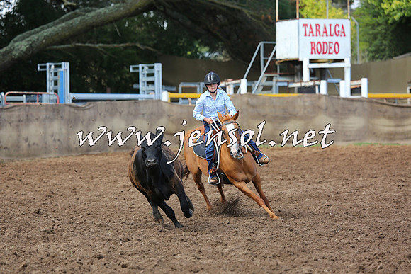 TaralgaCampdraftSat_0379
