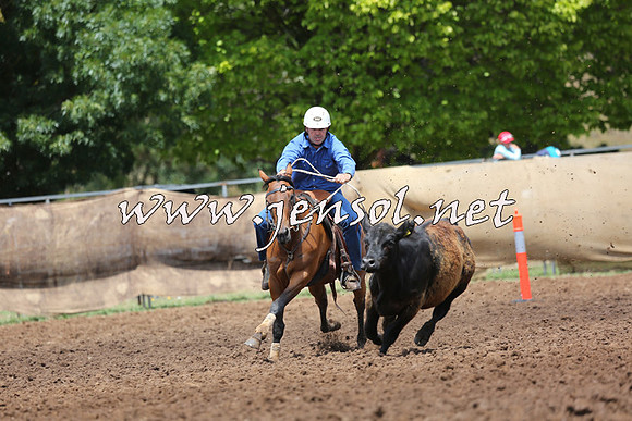 TaralgaCampdraftSat_0059
