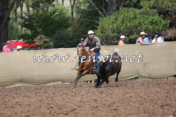 TaralgaCampdraftSat_0081