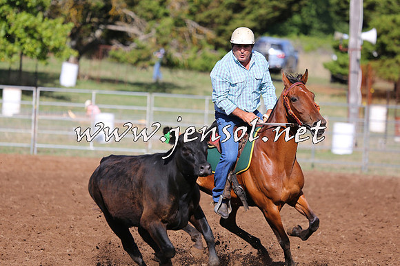 TaralgaCampdraftSat_0352