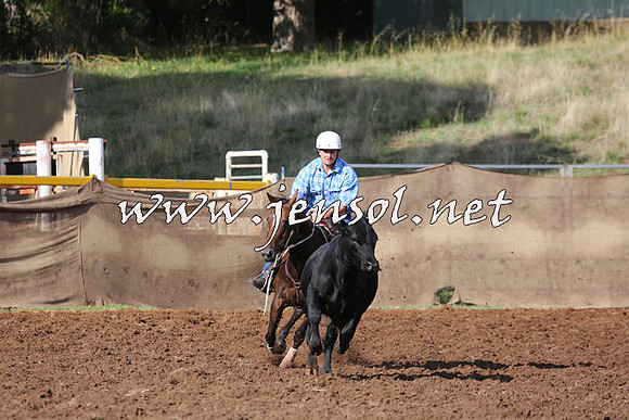 TaralgaCampdraftSat_0327