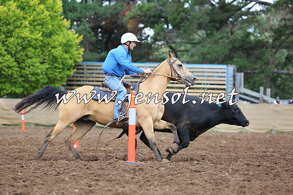 TaralgaCampdraftSat_0560