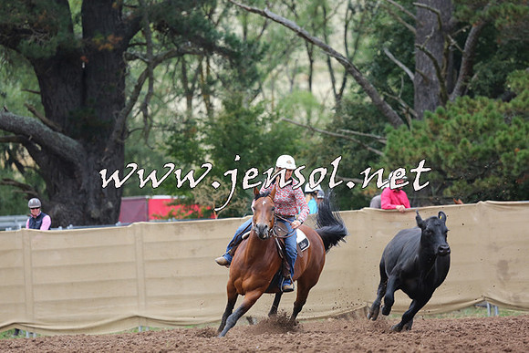 TaralgaCampdraftSat_0563