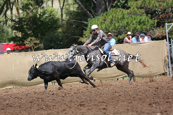 TaralgaCampdraftSat_0101