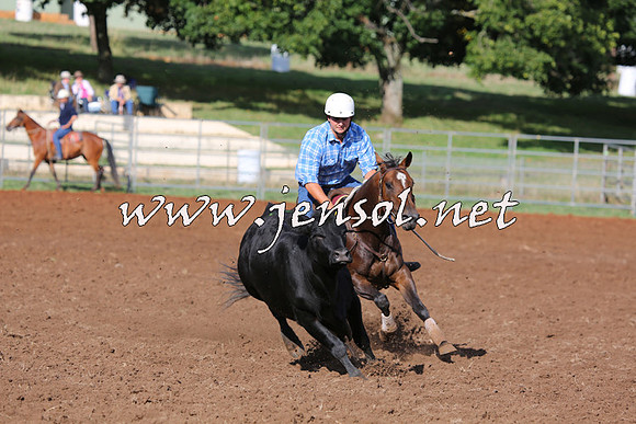 TaralgaCampdraftSat_0330