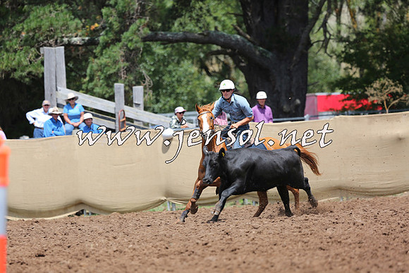 TaralgaCampdraftSat_0131