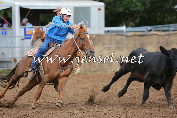 TaralgaCampdraftSat_0472